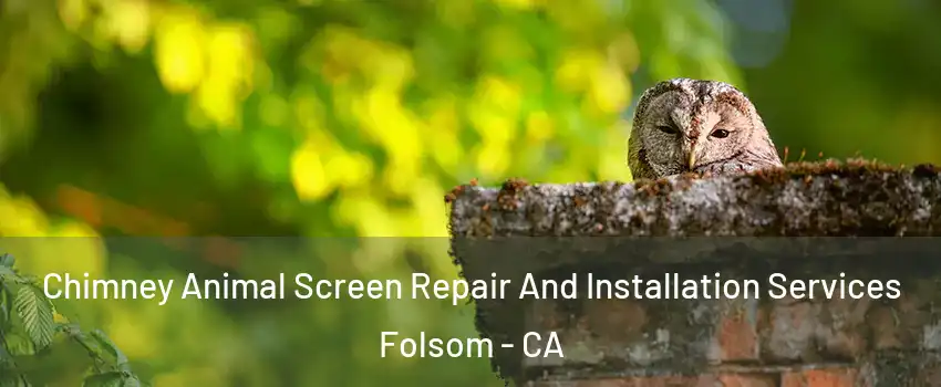  Chimney Animal Screen Repair And Installation Services Folsom - CA