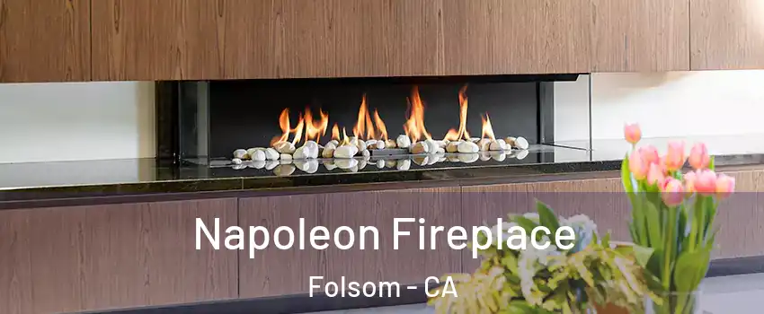  Napoleon Fireplace Folsom - CA